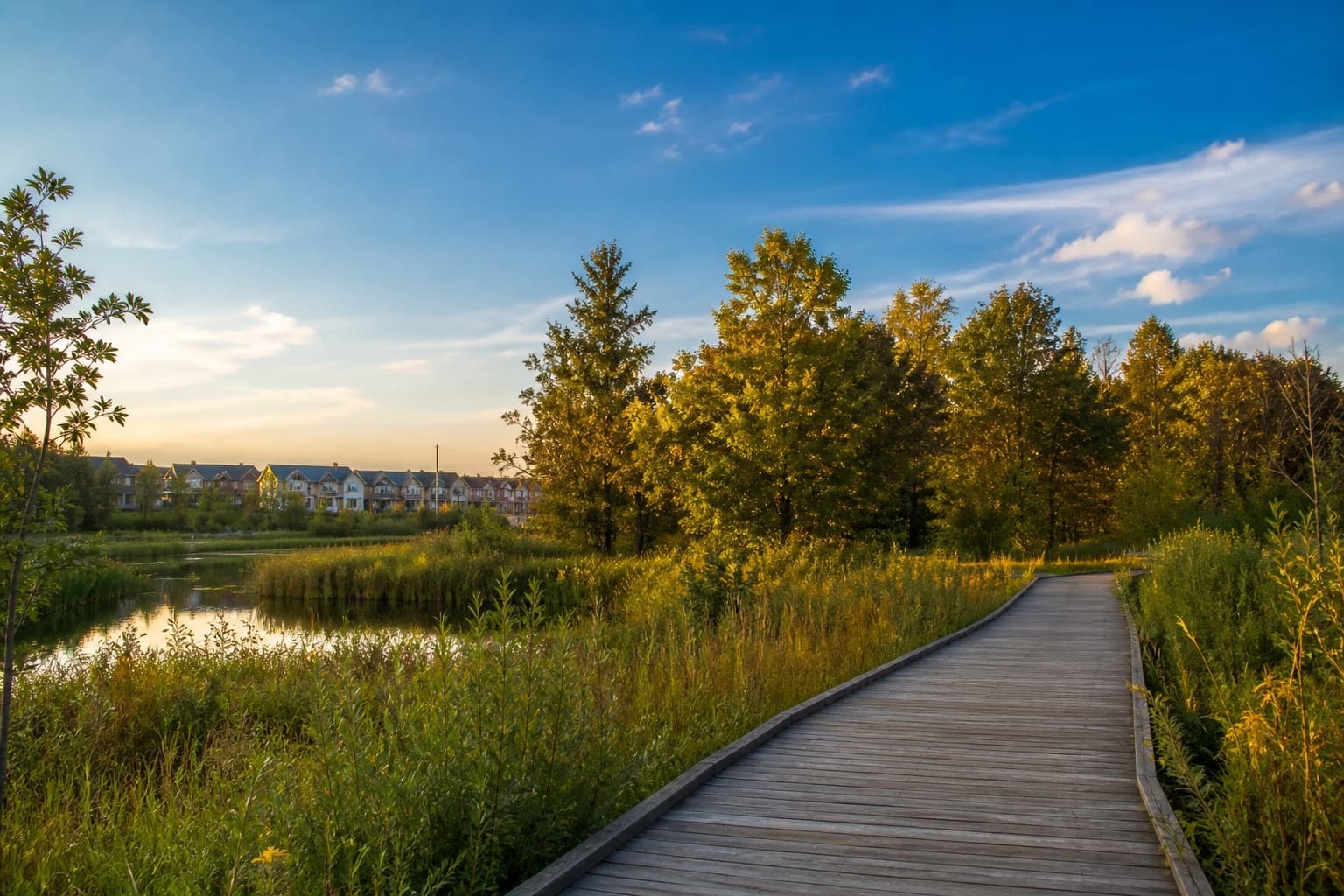 Illustrative AI-generated conservation trail and pond at the edge of a Vaughan suburb